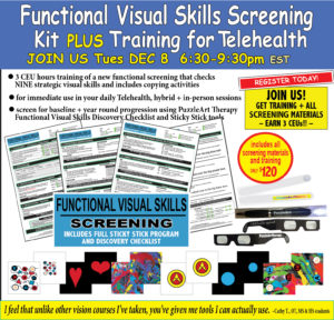 Functional Visual Skills Training for Telehealth - Includes Materials - Full Sticky Stick Program, Checklist and more