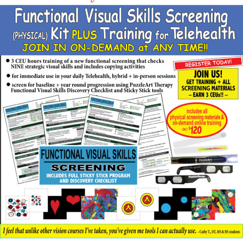 Telehealth and In-Person Functional Visual Skills SCREENING KIT PLUS TRAINING ON-DEMAND